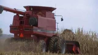 Case IH 2188 combine [upl. by Cherry813]