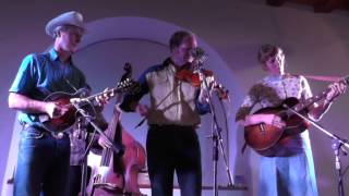 Forghorn Stringband Willisau Switzerland Rathaus Bürgersaal May 23 2014 [upl. by Ness375]