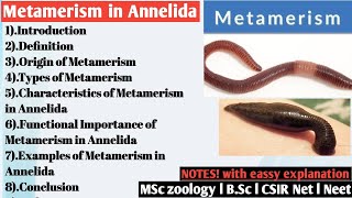 Metamerism in Annelida  Metamerism [upl. by Adav868]