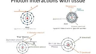 Lecture 2  Introduction to Radiation Biology and Physics [upl. by Lorna276]