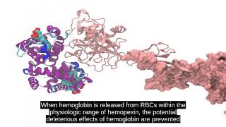 Haptoglobin [upl. by Acul]