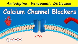 Calcium Channel Blockers  Amlodipine Verapamil Diltiazem [upl. by Eentrok108]