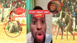 Ooh😭azize ndiaye dafa Soot Tapha tine 😱Réaction Adamo😂après Victoire balla Gaye 2 [upl. by Yreneh941]