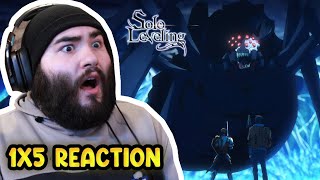 The Set Up Solo Leveling Episode 5 Reaction [upl. by Riatsala]