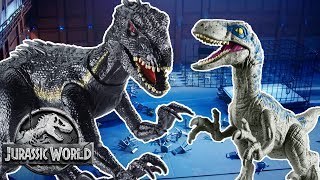 Dinosaur Battles Blue VS Indoraptor  Jurassic World  Mattel Action [upl. by Rillis]