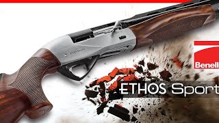 Thrushes birds hunting part 2 Benelli ethos sport [upl. by Ahsiken342]