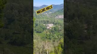 Nilgiri Hills Kotagiri Tamil Nadu youtubeshorts nature travel beautifulsanjugupta [upl. by Odraccir]