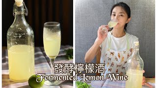 自製發酵檸檬酒蜂蜜檸檬酒酸甜好滋味。銅板價就能做一大缸Fermented lemon wine Eng Sub【cc字幕】 [upl. by Els]