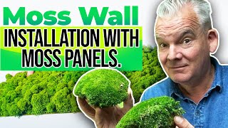 Moss Wall Installation Using Moss Panels [upl. by Lubeck148]