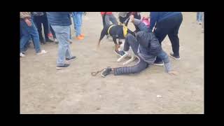 Rottweiler attack Siberian Husky Fight  Dog Show [upl. by Borchers]