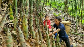 Harvest bamboo shoots bring them goes to the market to sell with your daughter  Triệu Thị Dất [upl. by Brynn619]