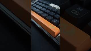 ASMR Teclado mecânico redragon asmr [upl. by Aneerak]