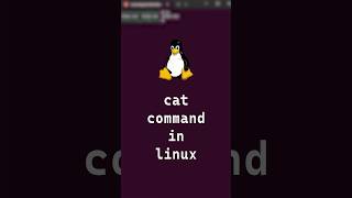 510 Basic Linux Commands  cat command in linux shorts linux linuxcommands [upl. by Adnamra355]