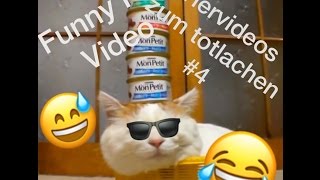 Lustige Tiervideos zum totlachen 20162017  Funny Pet Video 4 [upl. by Ekle]