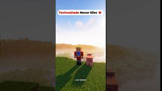 MINECRAFT SACRIFICE 🥹 TECHNO BLADE 🥵  SAD 😢 VIDEO trending shorts viralshort viral minecraft [upl. by Ysac]