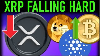 🚨XRP FALLING FAST🚨PARTNERSHIP BAD CHOICES MADE 🚨 [upl. by Madi]