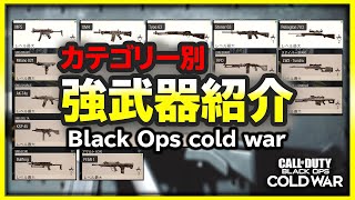 【BOCW】今さら聞けない 私的強武器をカテゴリー別に一つずつ紹介します！【ぐっぴー】 [upl. by Sukram]