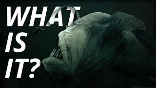 The Creepiest UNEXPLAINED Sounds Ever Heard in the Ocean [upl. by Richmond]