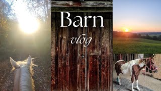 Mini Barn Vlog [upl. by Rokach831]