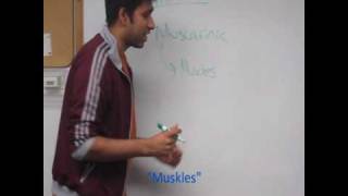 Sympathetic Acetylcholine mACh Receptor Mnemonic Video [upl. by Neelrad]