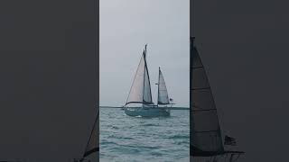 What sailboat is this 👉 Drop a comment sailboats sailboat [upl. by Atirys]