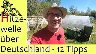 Hitzewelle über Deutschland  12 heiße Tipps für eure Pflanzen und für euch 😲 [upl. by Nosneh556]