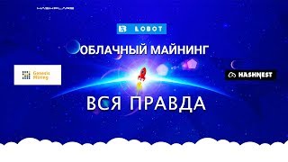 Облачный майнинг  вся ПРАВДА  реальный пример [upl. by Lewls]