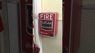 Fire Alarm Pull Station and Emergency Exit Door  Dollar Tree [upl. by Seys]