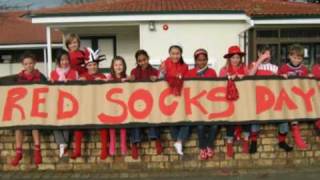 Red Socks Day  The Sir Peter Blake Trust [upl. by Katalin]