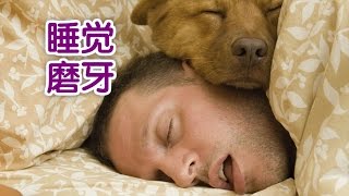 牙医教你夜里磨牙怎么办？ How to Stop Grinding Teeth at Night？ [upl. by Edy]