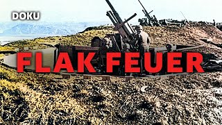 FLAK Feuer  2 Weltkrieg Dokumentation Luftangriffe Deutschland Luftwaffe Originalaufnahmen [upl. by Helm236]