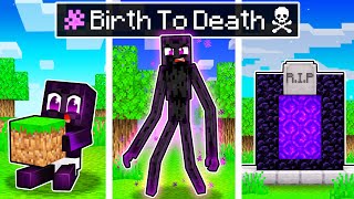 BIRTH to DEATH of a MUTANT ENDERMAN in Minecraft [upl. by Dahraf12]