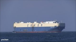 Vehicle Carrier  Roro ship MORNING CELINE Built 2009 IMO 9519133 Underway [upl. by Loris537]