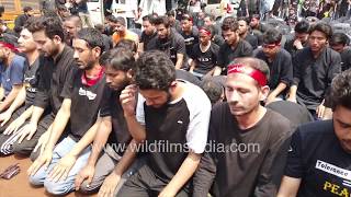 Shia Muslims observe Namaz on the day of Ashura [upl. by Ahsekyt134]