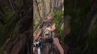 PURE MTB TRAIL BLISS 🤩 [upl. by Verge]