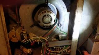 Air Handler Blower Motor Not Running Repair Apollo Hydroheat MA4230 [upl. by Emilio]