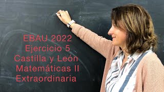 EBAU 2022 Ejercicio 5 Matemáticas II CYL Extraordinaria lasmatesdemila3221 [upl. by Ranna]