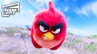 The Angry Birds Movie Attacking the Castle FAMILY COMEDY MOVIE HD CLIP [upl. by Anatol]