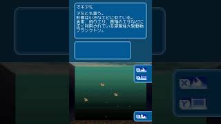 Kokoro ga Uruou Birei Aquarium DS 2 Sekai no Uo to IkuraKujira Tachi Gameplay Nintendo DS [upl. by Attecnoc]