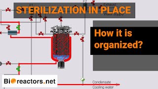 Bioreactor Automatic Sterilization insitu [upl. by Kriste]