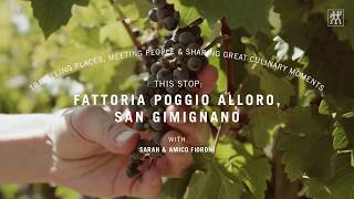 Culinary World Italien  Fattoria Poggio Alloro [upl. by Aubine382]