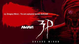 13 Dragos Miron  Team asteptat prod AMAVI [upl. by Haleelahk990]