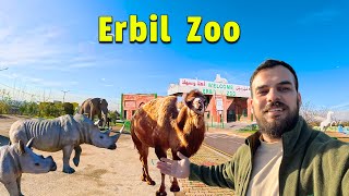 حديقة حيوانات اربيل يوجد في اكثر من 100 نوع حيوان Erbil zoo [upl. by Thorma]