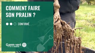 TUTO Comment faire son pralin  – Jardinerie Gamm vert [upl. by Yelahc400]