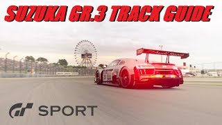 GT Sport Suzuka GR3 Guide  Pedal  Wheel Camera [upl. by Onin]