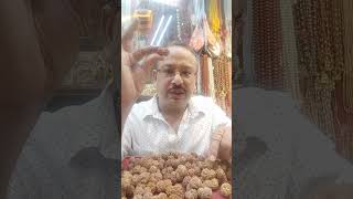 Gori shankar rudraksha3000 RS only 9927113803 [upl. by Alber]