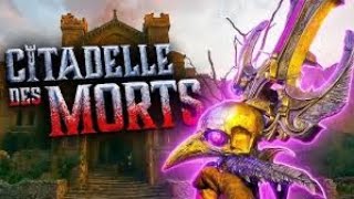 ACEJ GAMING GET A HIGH ROUND WORLD RECORD ON CITADELLE DES MORTS [upl. by Rehpatsirhc534]