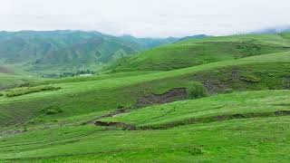 green mountain hills at misty and rainy summer day [upl. by Atelokin490]