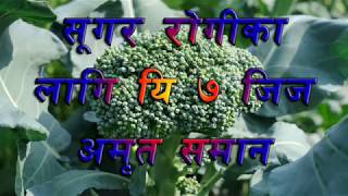 सुगर रोगीका लागि यी सात चिज अमृत सरह सबैले जानी राखौ7 Foods For Sugar Pations [upl. by Willette]