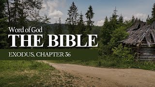 The Bible  Exodus Chapter 36 The Israelites Craftsmanship in Building the Tabernacle [upl. by Mannie238]